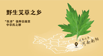 艾草越嫩越好，還是越久越好？悄悄告訴你：艾草這樣用，效果最好！