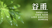 【二十四節(jié)氣灸】谷雨時節(jié)，用艾為您的健康加上一道保險！