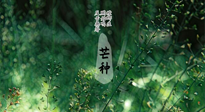【二十四節(jié)氣灸】芒種節(jié)氣，培土補(bǔ)脾、養(yǎng)陰生津！艾灸這些穴位事半功倍！