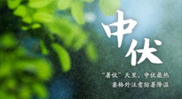 【三伏養(yǎng)生】至熱中伏，吃三樣，喝三樣，三大禁忌千萬別犯，小心落下病根！