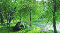 【養(yǎng)生知識】元宵入六九，春季已至，六九天的養(yǎng)生知識你知道多少？