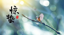 【二十四節(jié)氣灸】驚蟄節(jié)氣，艾灸喚醒抵抗力、補充陽氣的最好時機！