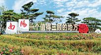 【行業(yè)資訊】南陽一個(gè)值得三顧的地方！“丹江水”“仙草艾”成為 “南陽禮物”新爆款！