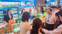 【行業(yè)資訊】南陽攜超千款名優(yōu)產(chǎn)品在廣州開展產(chǎn)銷對接，仙草艾首次亮相大灣區(qū)！