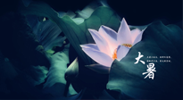 【二十四節(jié)氣灸】趁大暑好好艾灸，才不辜負(fù)三伏天的驕陽！