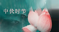 【艾灸三伏天】中伏：三伏灸的關(guān)鍵轉(zhuǎn)折點(diǎn)！“灸”除病根的大好時機(jī)！