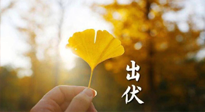 【艾灸三伏天】出伏啦！三防三宜兩穴位，防止身體“秋后算賬”！