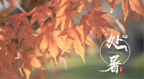 【二十四節(jié)氣灸】處暑，冬病夏治倒計(jì)時(shí)！秋涼真的要來了！
