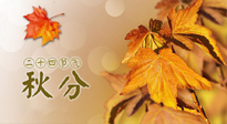 【二十四節(jié)氣灸】秋分節(jié)氣，平衡陰陽，巧用艾灸，潤(rùn)燥養(yǎng)肺是關(guān)鍵！