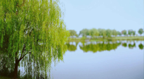 【艾灸知識】春三月，必艾灸穴位：疏肝理氣，養(yǎng)血調(diào)神！