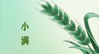【二十四節(jié)氣灸】小滿節(jié)氣記得艾灸，悠悠長夏，健康度過！