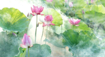 【養(yǎng)生知識(shí)】花開(kāi)半夏，夏至養(yǎng)生，這些知識(shí)一定要牢記！
