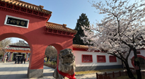 【行業(yè)資訊】新華財(cái)經(jīng)：守正創(chuàng)新，中醫(yī)藥品牌化發(fā)展“更上一層樓”！