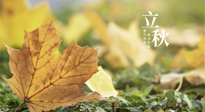 【節(jié)氣養(yǎng)生】甲辰立秋，“2做”、“2不做”，護(hù)好我們身體的正氣，預(yù)防外邪的侵襲！
