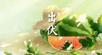 【艾灸三伏天】出伏后記得堅(jiān)持艾灸，伏后固本，做好至關(guān)重要的最后一步！