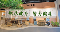 【艾草知識(shí)】小小艾草，渾身是寶，一生燃盡此身，皆為健康！